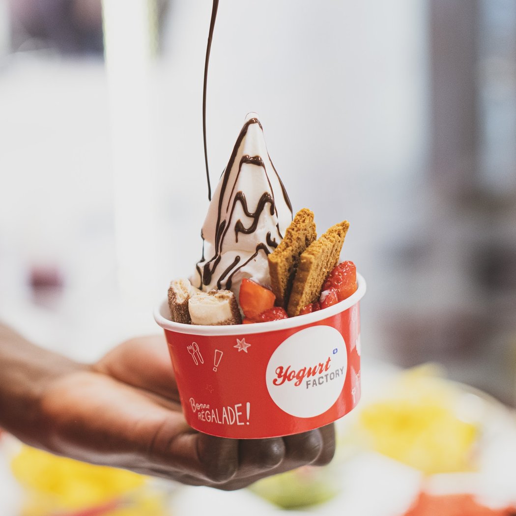 Yogurt Factory 1
